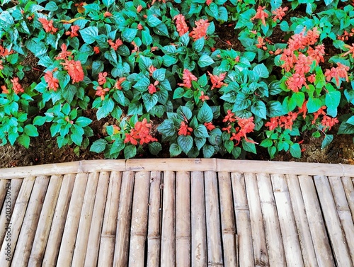Quadro su tela The image shows a light brown bamboo bridge, beautifully constructed from split bamboo stalks assembled into a walkway amidst a variety of colorful and naturally arranged ornamental flowers