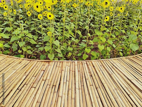 Obraz na płótnie The image shows a light brown bamboo bridge, beautifully constructed from split bamboo stalks assembled into a walkway amidst a variety of colorful and naturally arranged ornamental flowers