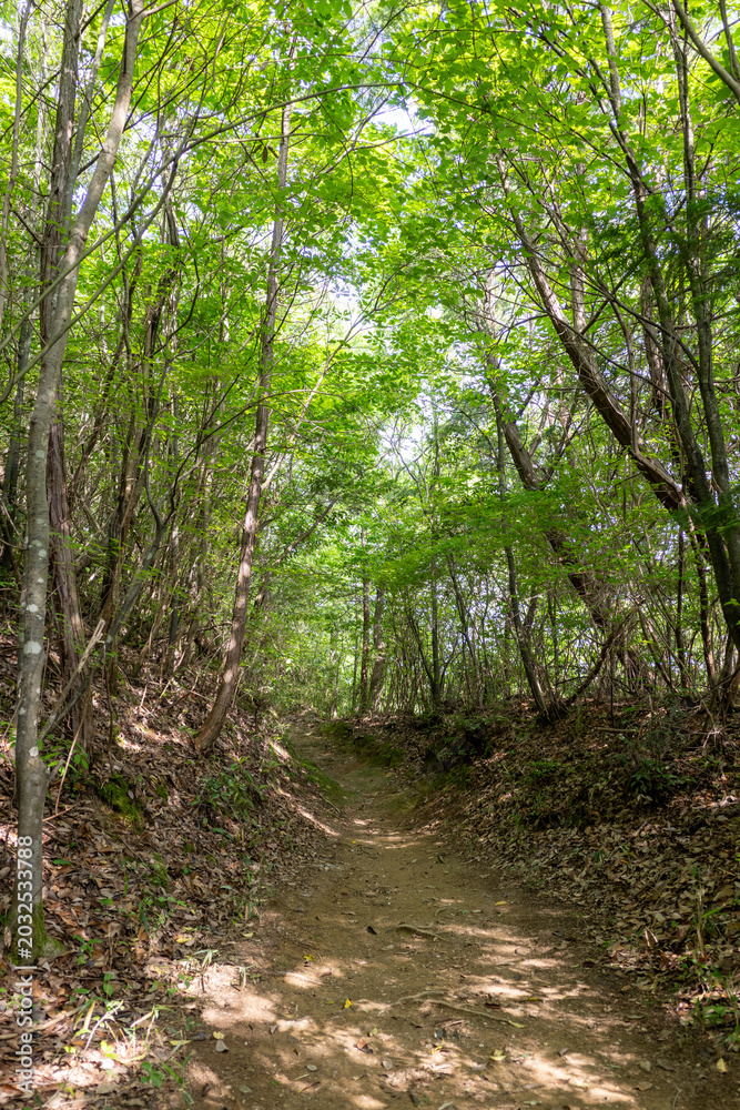 Obraz premium 日本の岡山県津山市の神楽尾山の美しい風景