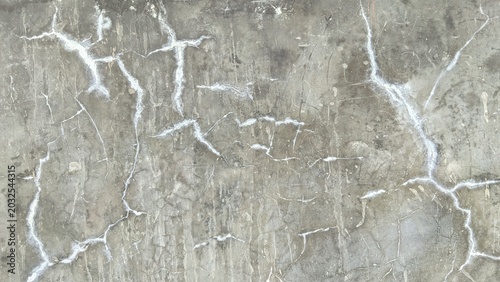 Vászonkép Abstract background of cracked concrete wall with white efflorescence stains