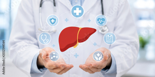 A doctor in a white coat holds a liver with medical icons floating around it
