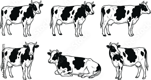 Quadro su tela Detailed hand drawn vector illustration set of Holstein Friesian cows in various standing and lying down poses