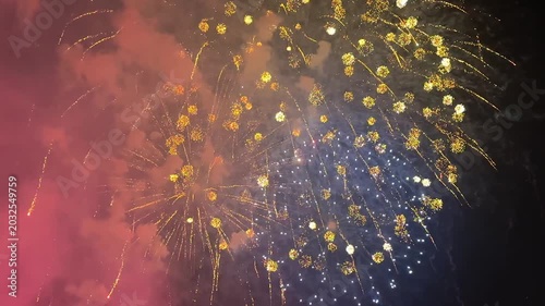 Colorful fireworks illuminate the night sky, creating a stunning visual spectacle. Bright bursts and trails of light are visible against the dark backdrop. July 4, 2026, U.S. Independence Day. Footage