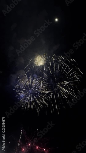 Colorful fireworks illuminate the night sky with various colors, creating a stunning visual spectacle. Bright bursts and trails of light are visible against the dark backdrop. New year celebration