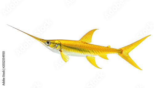 A striking golden swordfish is depicted against a stark black background.