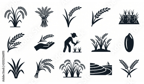 Rice Plant Icons