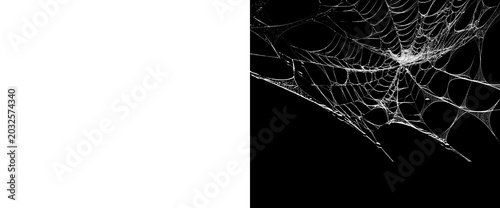 Photos Tattered old spider web corner element isolated on transparent background with alpha channel mask for horror and halloween scene creation realistic dusty cobweb illustration
