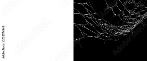 Tableau sur toile White spider web isolated on transparent background for spooky halloween design elements realistic cobweb decoration with dust particles and fragile silk thread textures