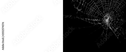 Fotografía Radial spider web cobweb with central hub element on transparent background for spooky halloween layout realistic white gossamer net isolated vector with alpha channel mask