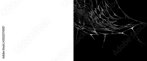 Cuadro en lienzo White cobweb spider web element on transparent background for spooky halloween design creepy net texture isolated vector illustration realistic gossamer mask with alpha