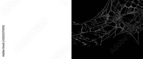 фотографія Tangled white spider web cobweb overlay on transparent background for creepy halloween scene realistic gossamer net texture isolated vector element with alpha channel mask