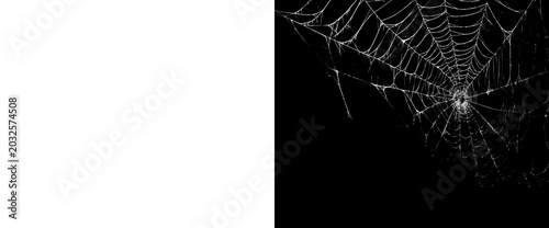Photos Realistic spider web corner decoration isolated on transparent background for spooky halloween party design element with intricate silk thread net pattern for creative art