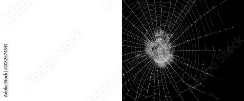 Bild auf Leinwand A perfectly concentric spider web, embellished with numerous water droplets, showcasing its architectural beauty against a transparent backdrop