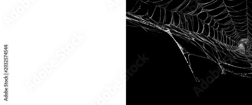 Photos An intricate spider web with glistening water droplets, captured with a detailed perspective showcasing its delicate and complex structure