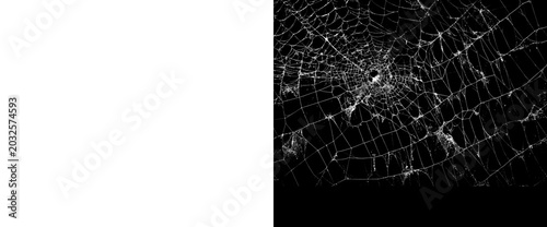 Foto Realistic cobweb isolated on transparent background for design halloween decoration spooky spider web with alpha channel and matte mask scary texture element for holiday
