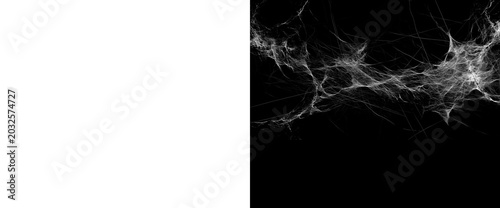Cuadro en lienzo Chaotic tangled spider webs and strands on transparent background creating a dense and complex atmospheric overlay