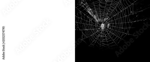 Cuadro en lienzo Intricate white spider web with tiny dew drops, delicate network suspended against transparent background, capturing details of natural engineering