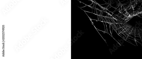 Photos Close-up of translucent white spider web with dew drops on a transparent background for easy layering and a corresponding alpha matte