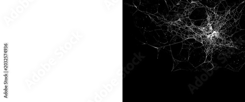 Photos Abstract white spider web with numerous fine strands on a transparent background and accompanying black and white alpha matte