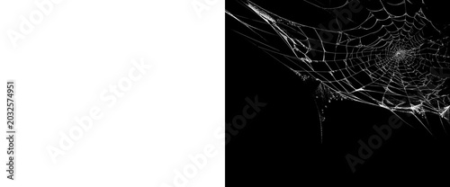 Photography Detailed white spider web with an intricate central pattern and scattered particles on a transparent background and alpha matte