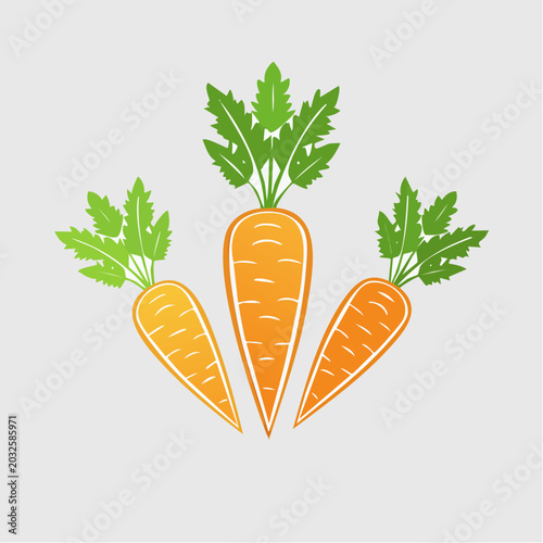 Three Carrots with Green Tops