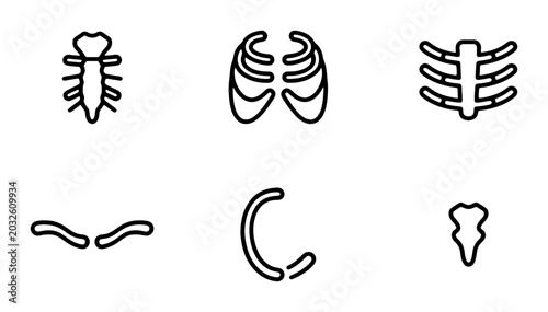 Foto Rib Cage Vector Icons, Sternum Anatomy Illustrations, Thoracic Skeleton Elements