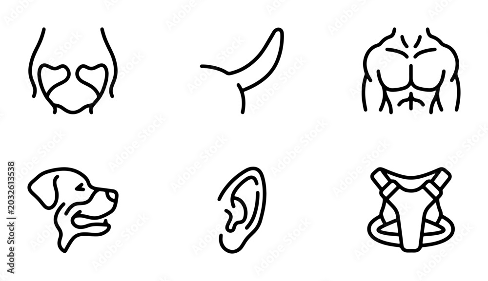 Fototapeta premium Anatomy Icons: Dog, Human Torso, Ear, Tail, Harness, Pelvis, Medical, Science, Vector Set