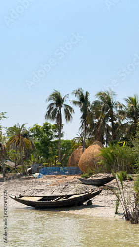 tropical beach with palm trees