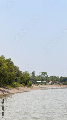 river in the forest