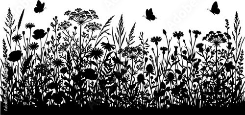 Wildflowers and herbs silhouette border with flying butterflies on white background