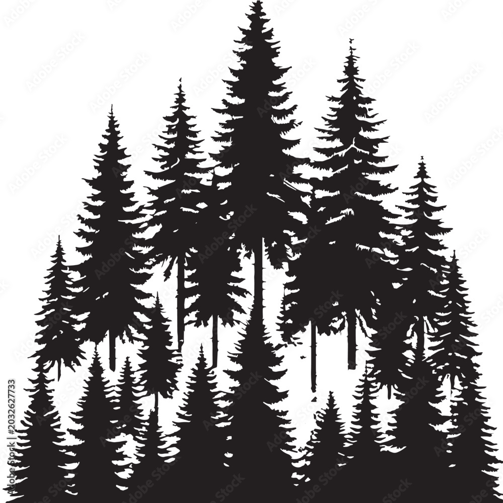 Obraz premium Black Forest trees Silhouette Vector, High Quality Illustration on White Background