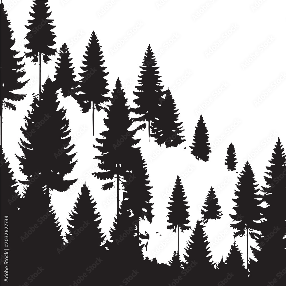 Fototapeta premium Black Forest trees Silhouette Vector, High Quality Illustration on White Background