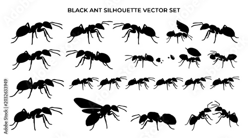 Foto Ant Colony Silhouette Vector Collection with Black Insect Species and Fauna Shap