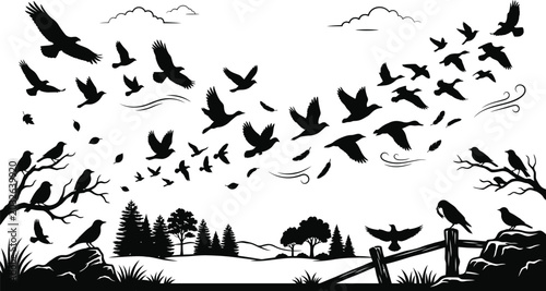 Photography Black silhouette flying birds nature scene vector illustration