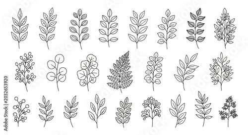 Bild auf Leinwand Black and white leaf icons, vector leaf illustrations, botanical elements, 20 le