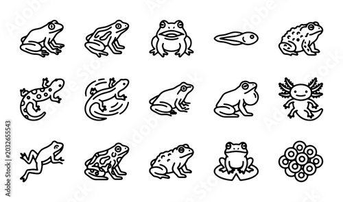Photos Frog and Amphibian Icons Set, Tadpole and Axolotl Vector Graphics, Nature Wildli