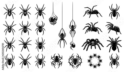 Foto Black Spider Silhouette Vector Collection with Horror Toxic Arachnid and Phobia
