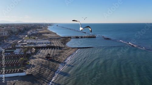 Schilderij op canvas Gabbiano in primopiano sullo sfondo del Lungomare del Lido di Ostia, Roma, Italia