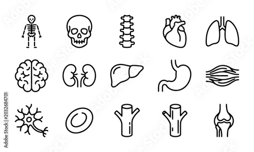 Photos Human Anatomy Icons Set: Skeleton, Skull, Brain, Heart, Lungs, Organs, Cells, Jo