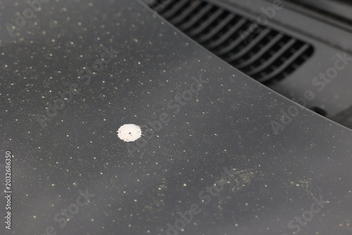 車のボンネットについた鳥の糞