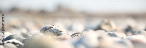 Photography Minimal beach stones in soft sand with shallow depth of field