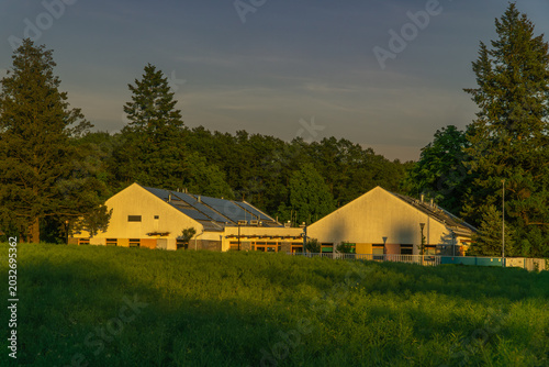 Horizontal photo of a symmetrical building in a forest without people.