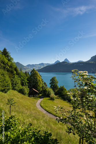 The path to the Rütli meadow in summer with a blue sky, Lake Waldsthal, and the Mythen mountain.