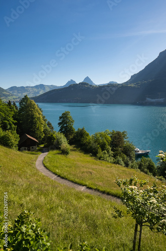 The path to the Rütli meadow in summer with a blue sky, Lake Waldsthal, and the Mythen mountain.