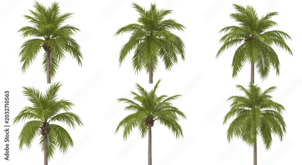 Fototapeta premium Six individual green palm trees with textured fronds and brown trunks arranged in two rows against a solid black background