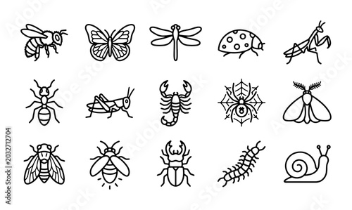 Foto Insect Icons Vector Set: Bee, Butterfly, Dragonfly, Ladybug, Grasshopper, Ant, S