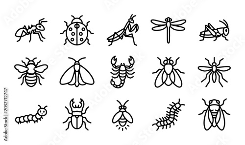 Bild auf Leinwand Vector Insect Icons Set: Ant, Ladybug, Praying Mantis, Dragonfly, Grasshopper, B