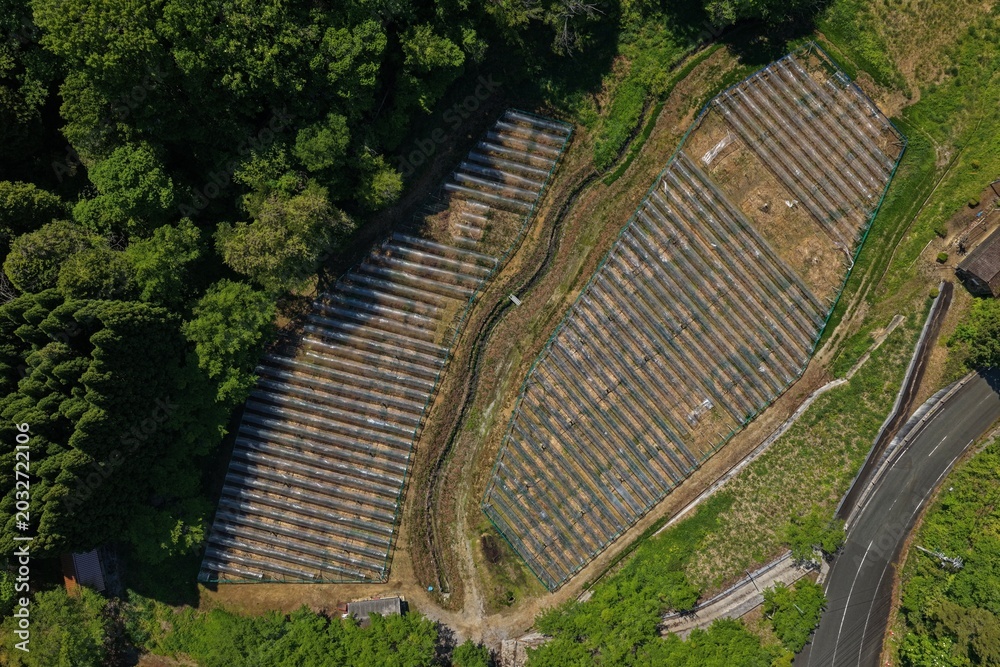 Naklejka premium Aerial drone photo of solar panel arrays surrounded by forest in Takahashi, Okayama, Japan