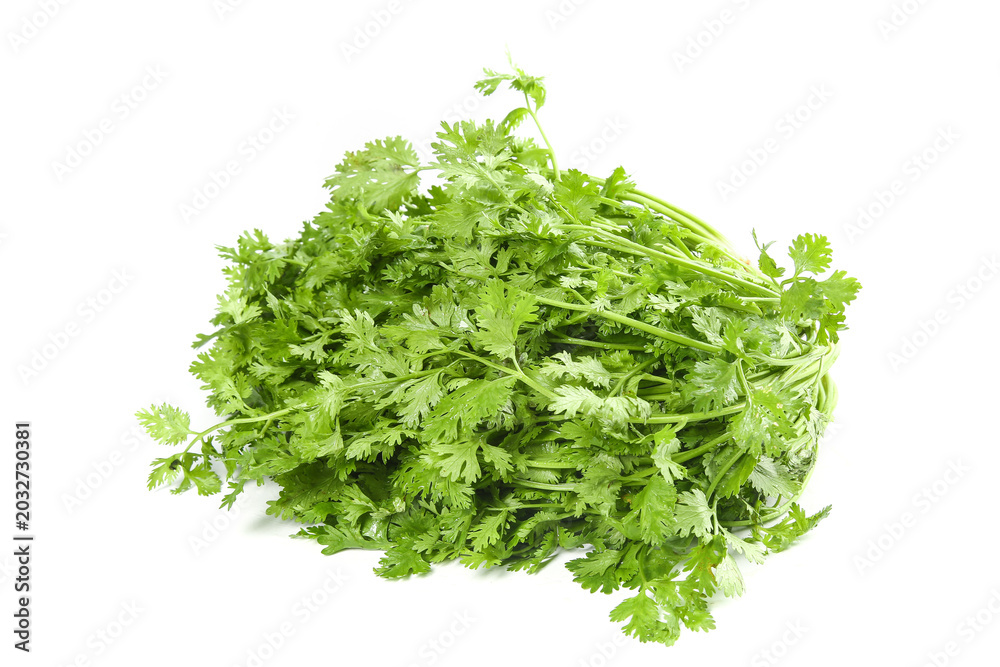 Obraz premium Fresh Green Parsley Bunch Isolated on White Background - Culinary Herb Still Life Studio Photography