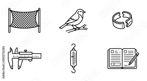 Photos Ornithology Science Icons: Bird, Net, Caliper, Scale, Notebook, Band